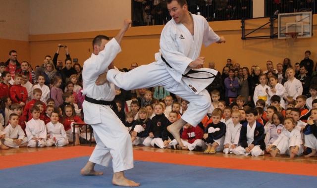Karatecy wystąpili w Mosinie