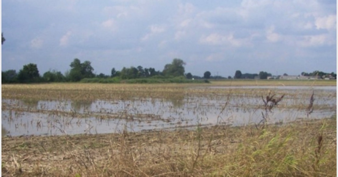 Podtopione pole? Zgłoś szkodę!