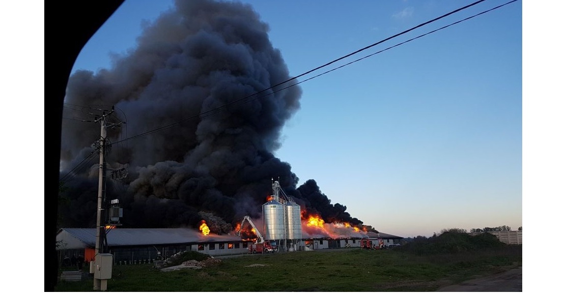 tragiczny pozar Wychowaniec fot. Blazej Pacholski