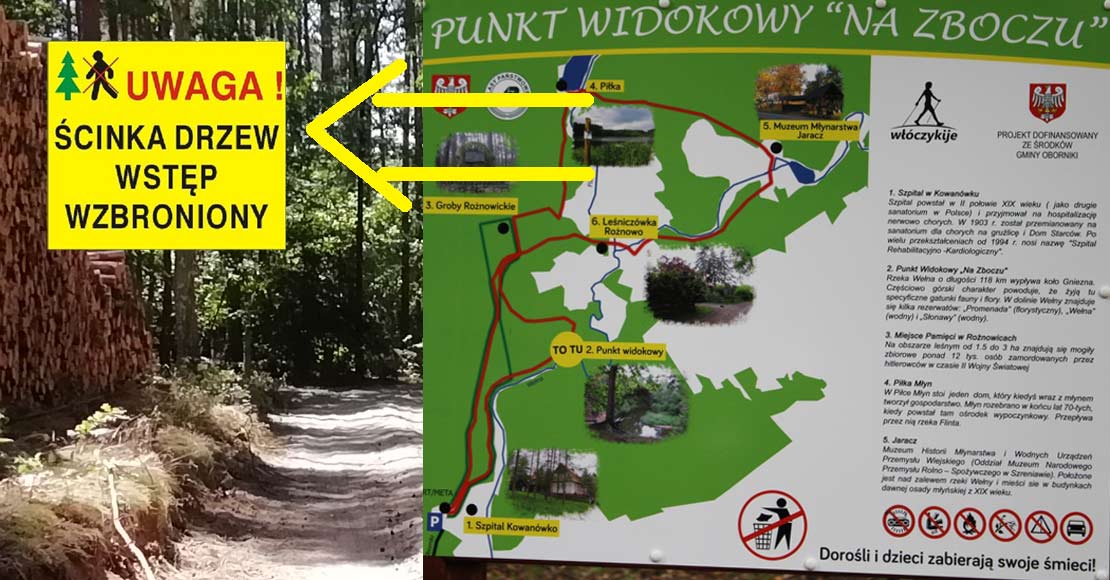 Uwaga! Przy ścieżce Nordic Walking prowadzone są prace leśne