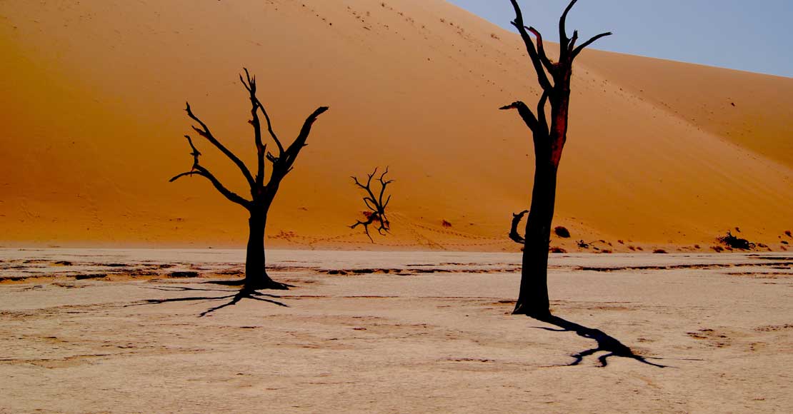 Namibia- niezwykłe krajobrazy, fauna i flora.