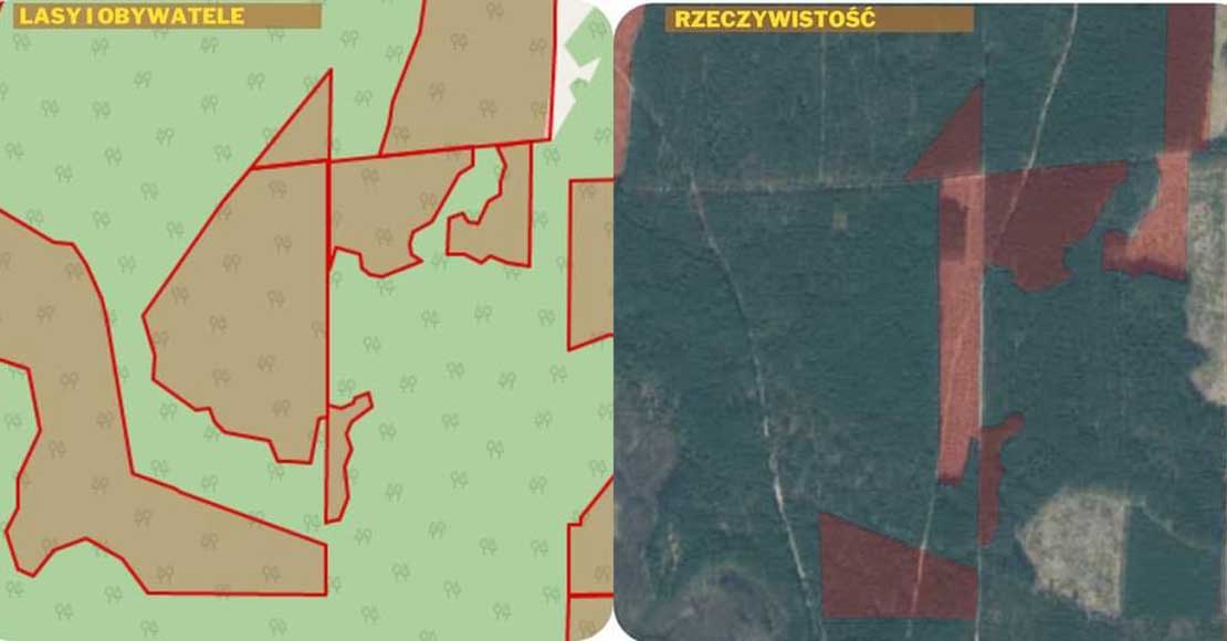 Aktywiści stworzyli mapę wieszcząc apokalipsę w lasach – Leśnicy: „mapa wprowadza w błąd!”.