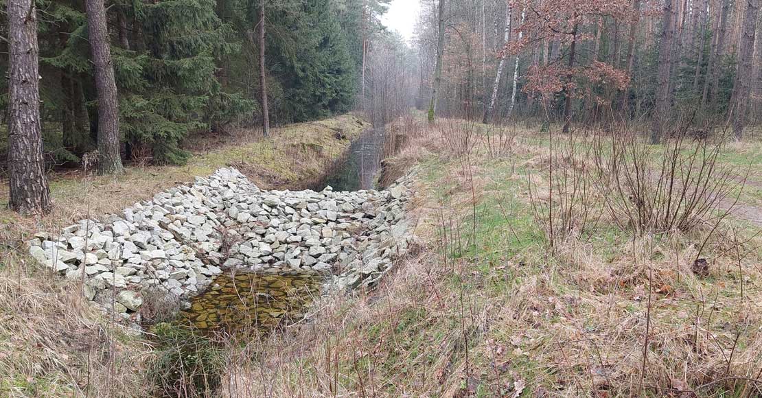 film zrealizowany przez Nadleśnictwo Sieraków, Lasy Państwowe