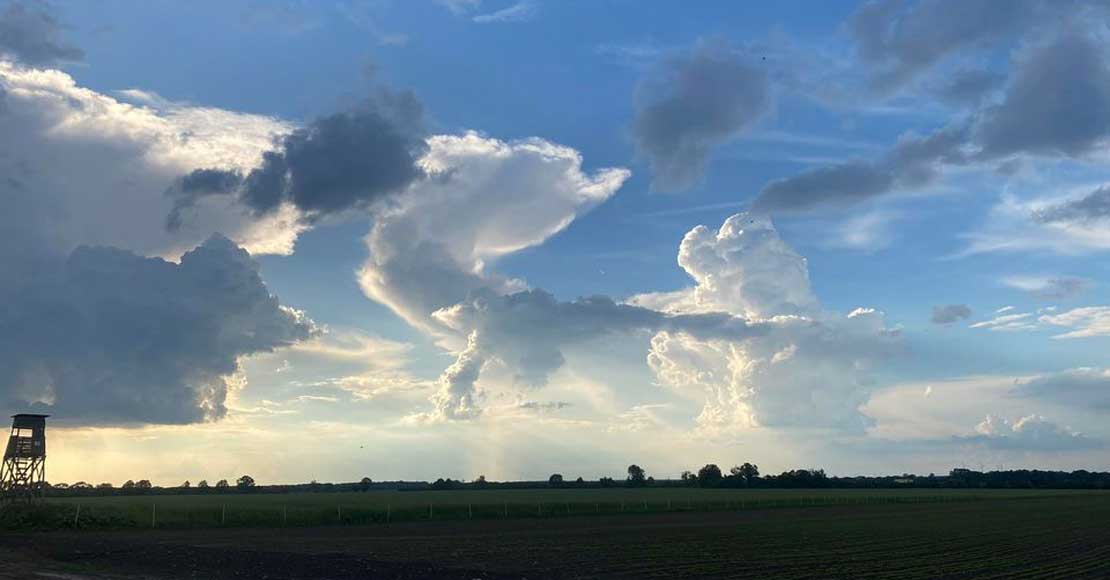 foto: Waldemar Walduś