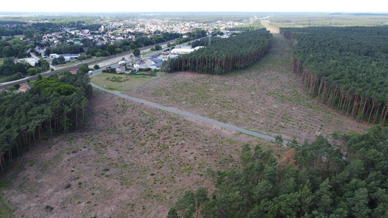 przykładowa WYCINKA lasu pod S10 w okolicy Bydgoszczy