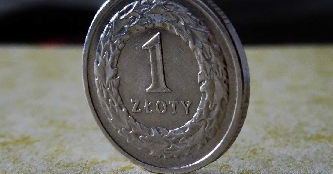 Image by TomaszSupel from Pixabay