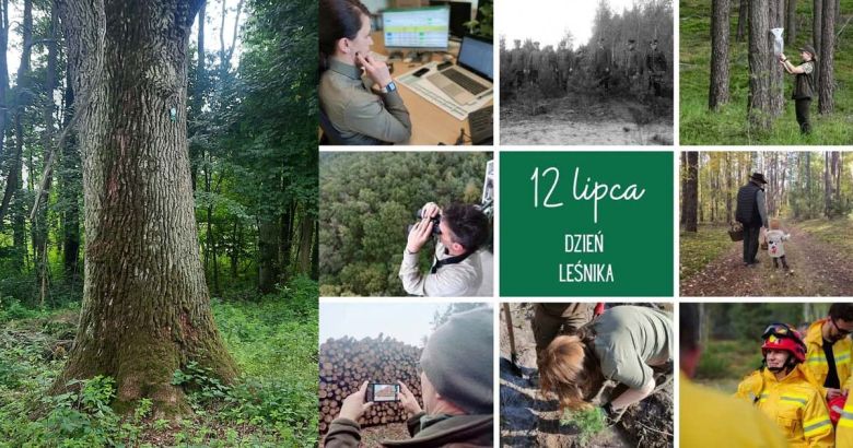 foto: eoborniki + RDLP w Poznaniu