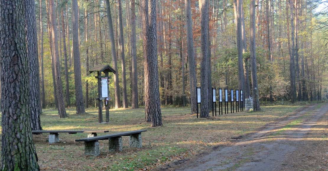 Foto: KaJa NW Wł&oacute;czykije