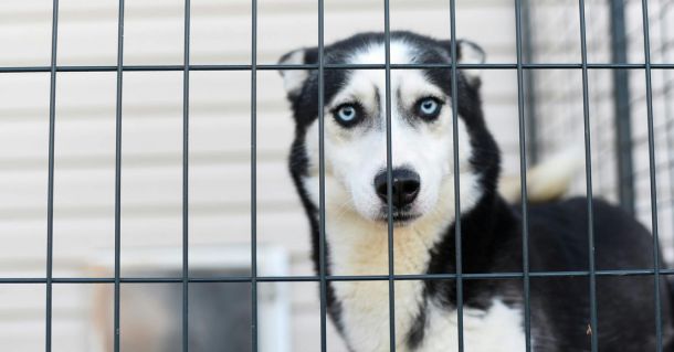 Zdjęcie Julissa Helmuth/pexels.com/