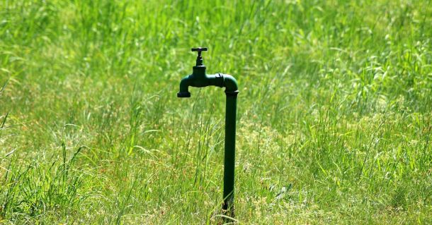 Image by Alicja from Pixabay