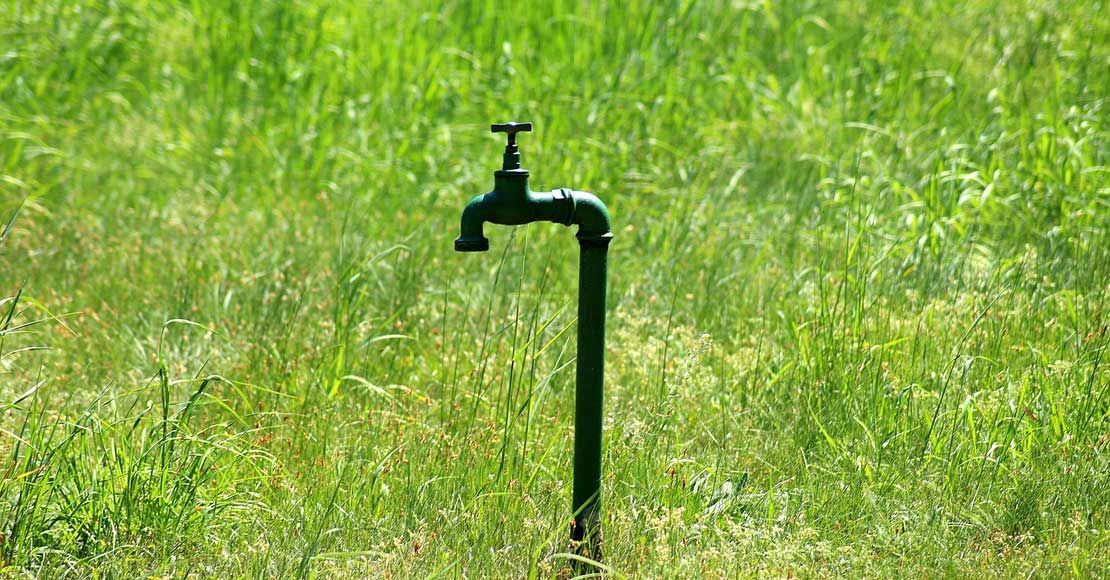 Image by Alicja from Pixabay