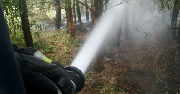 pracowity czwartej rogozinskiach strazakow