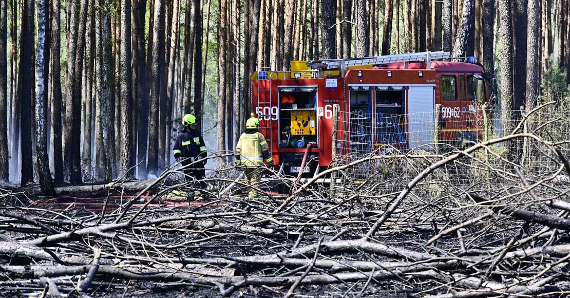 foto: Nadleśnictwo Sieraków