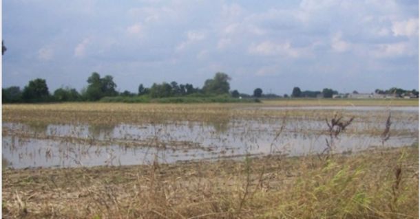 Podtopione pole? Zgłoś szkodę!