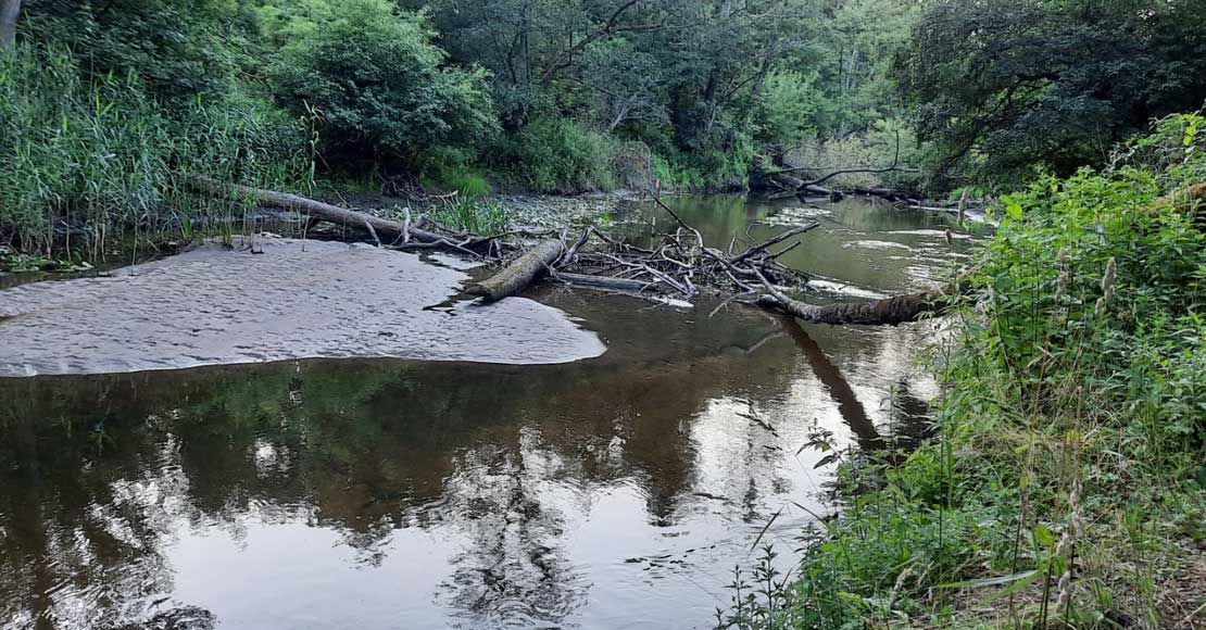 wysychająca Wełna lipiec 2022