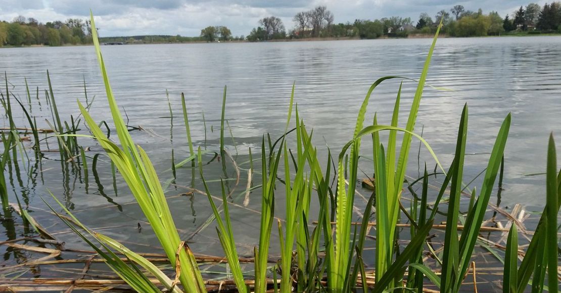 burza nad jeziorem rogozinskim