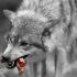 foto: Obraz  H. Hach z  Pixabay